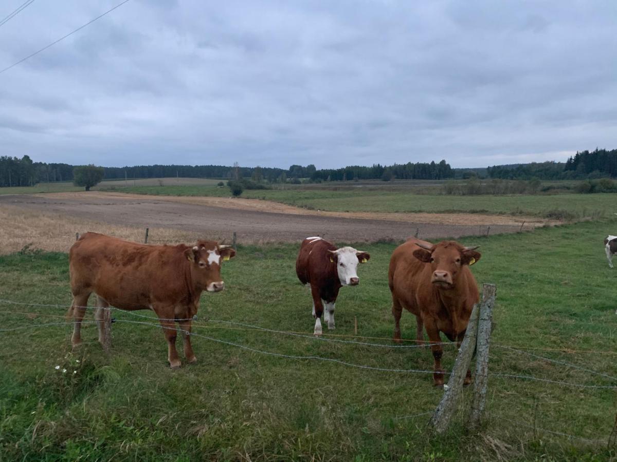 Gizycko-Przerwanki Domki Widok Na Mazury Exterior photo