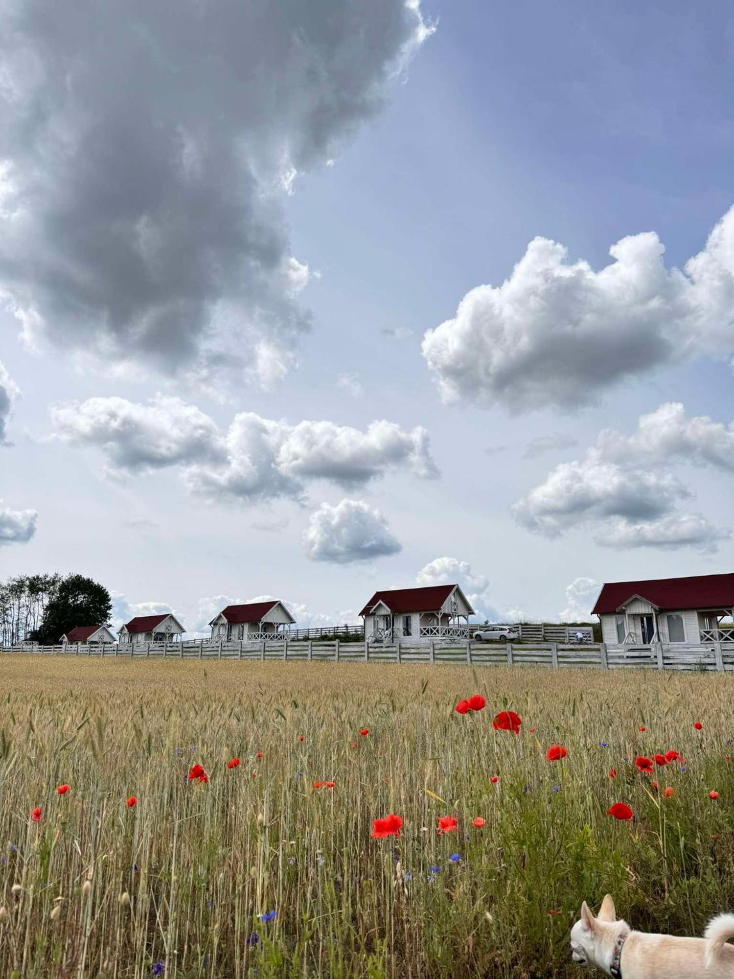 Gizycko-Przerwanki Domki Widok Na Mazury Exterior photo